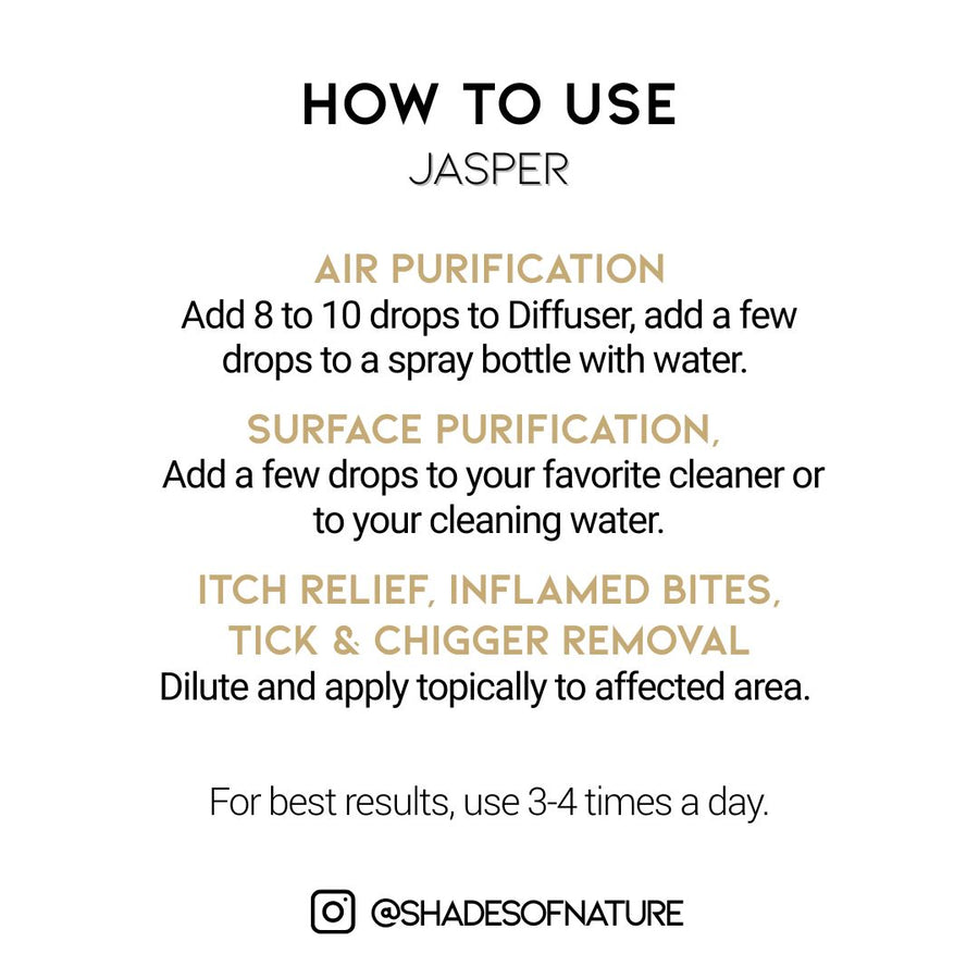 JASPER ~ Purify - Dragon's Blood Jasper