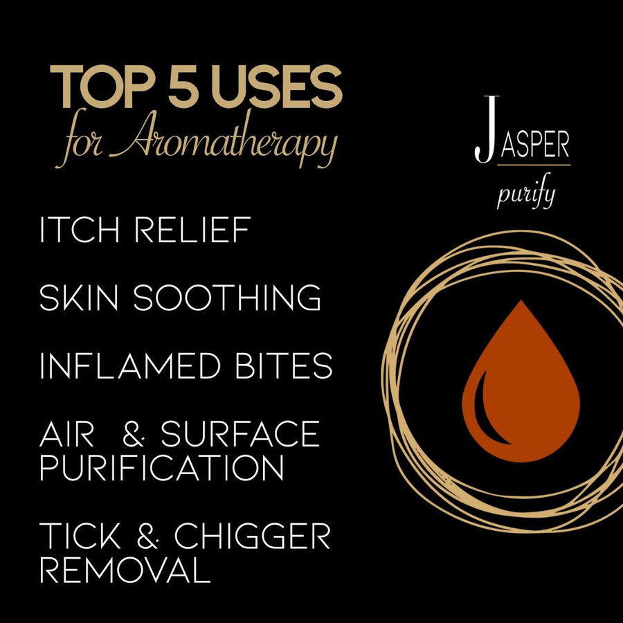 JASPER ~ Purify - Dragon's Blood Jasper