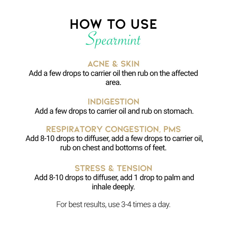 Spearmint (Mentha Spicata)